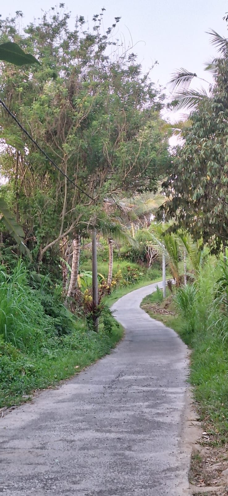 Village life at Rumah Desa
