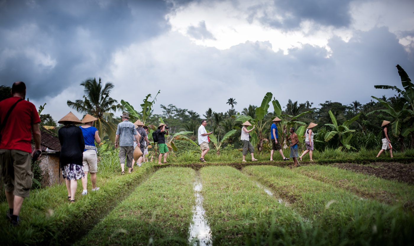 Rice field & farm life