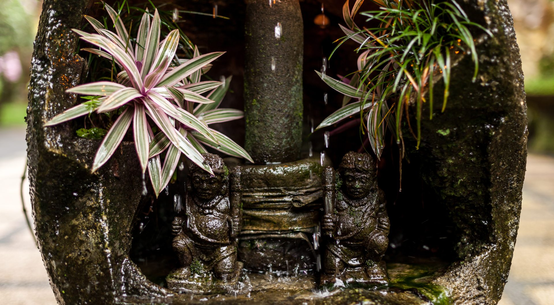 Lush gardens surrounding the village home